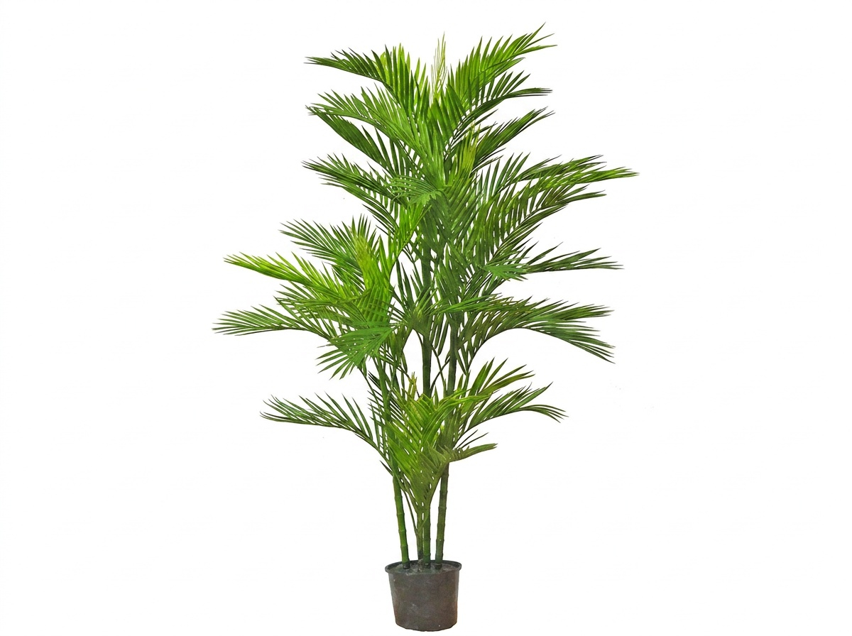 Parlour Palm UV 1.3m